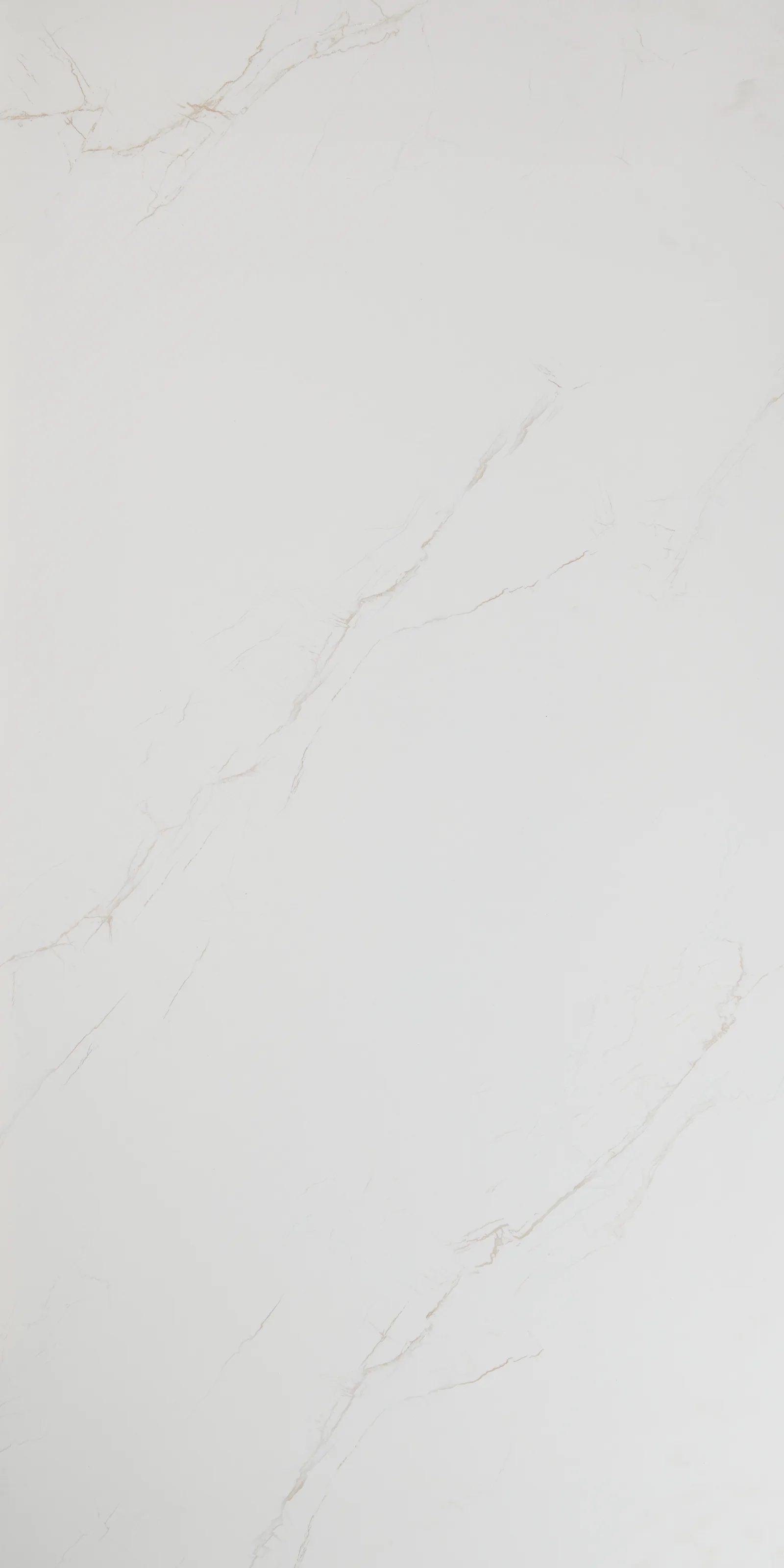 07-08531 SATVARIO ICE 120*60см