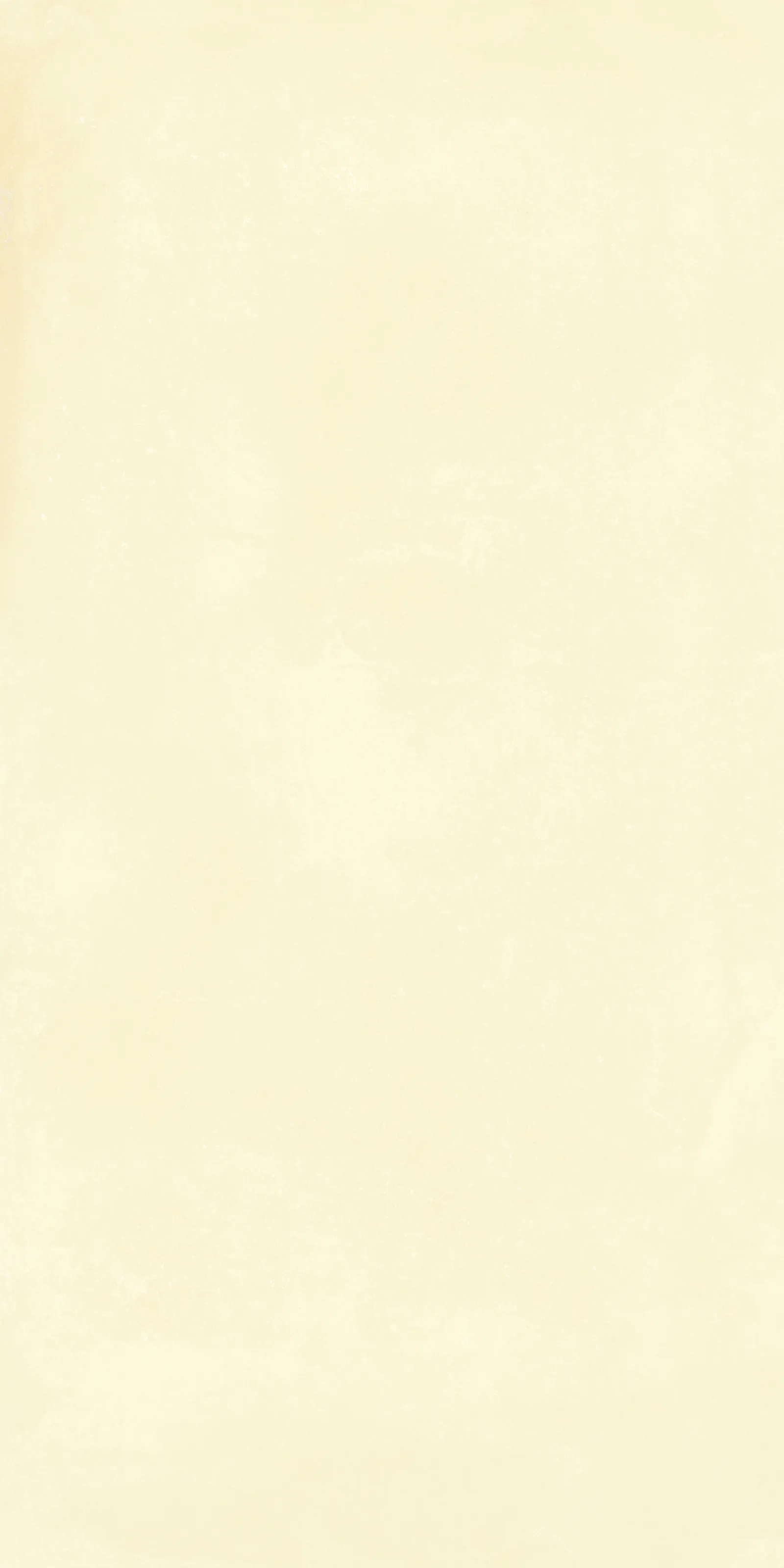 Небула Лайт Еллоу 60x120 / NEBULA LIGHT YELLOW