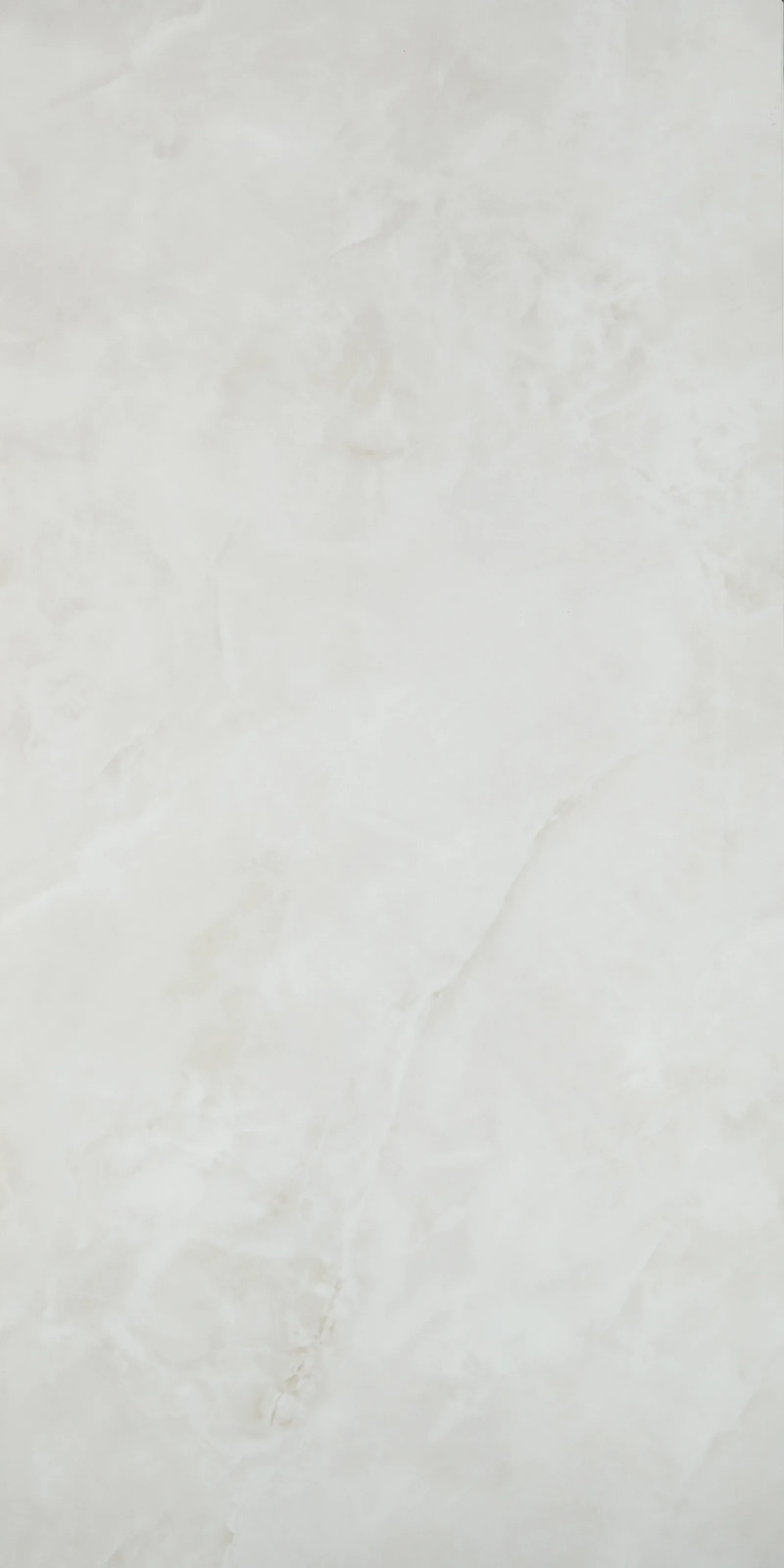 07-08533 PRISAM NATURAL 120*60см